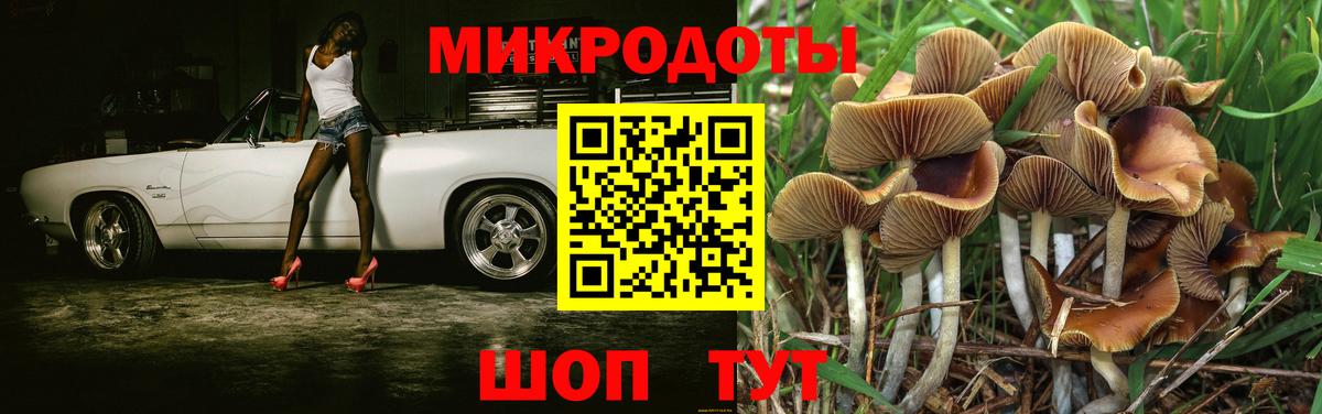 Куйбышев  Псилоцибиновые грибы мухоморы  Вход с VPN 